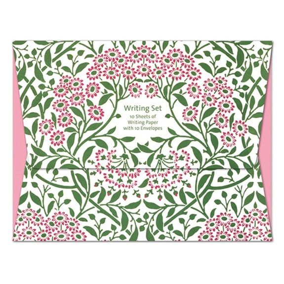 XWS MICHAELMAS DAISY