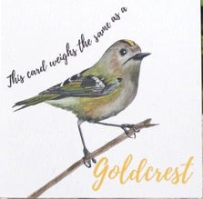 GC Wght Goldcrest (12)
