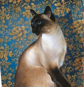 NB Lesley Anne Mini Blossom