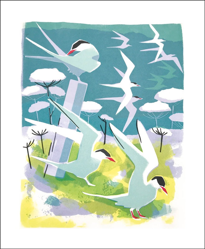 GC Hebridean Summer (12)