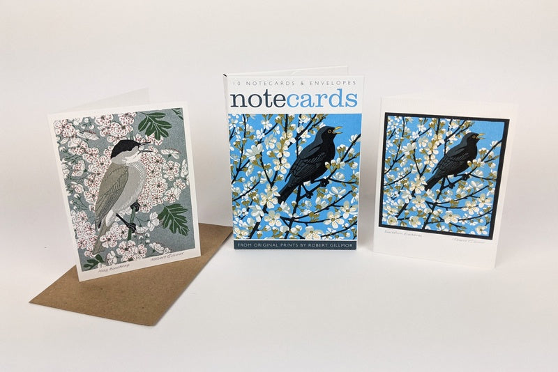 NC Blackthorn Blackbird/Blackcap (6)