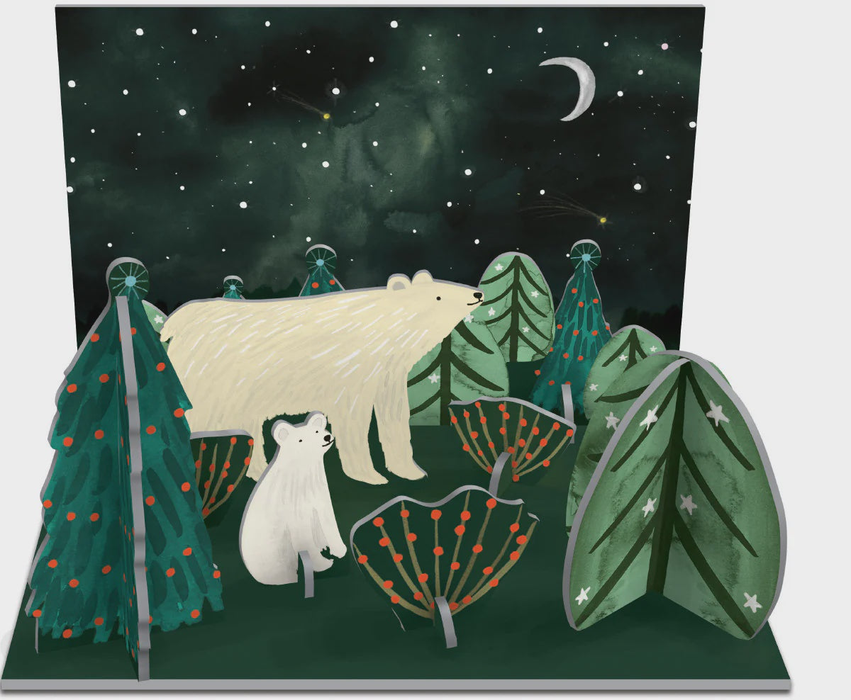 ST Norrn Lights Pop & Slot