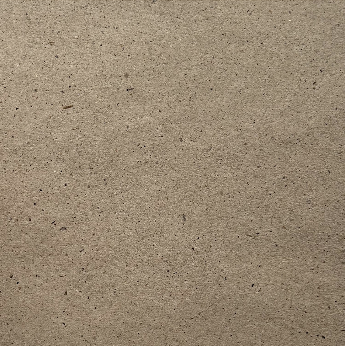 LP Water Hyacinth Tree Free Paper Split Pack