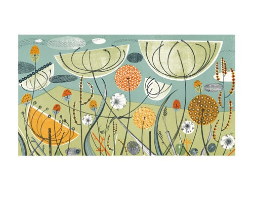GC Alliums & Fennel (12)