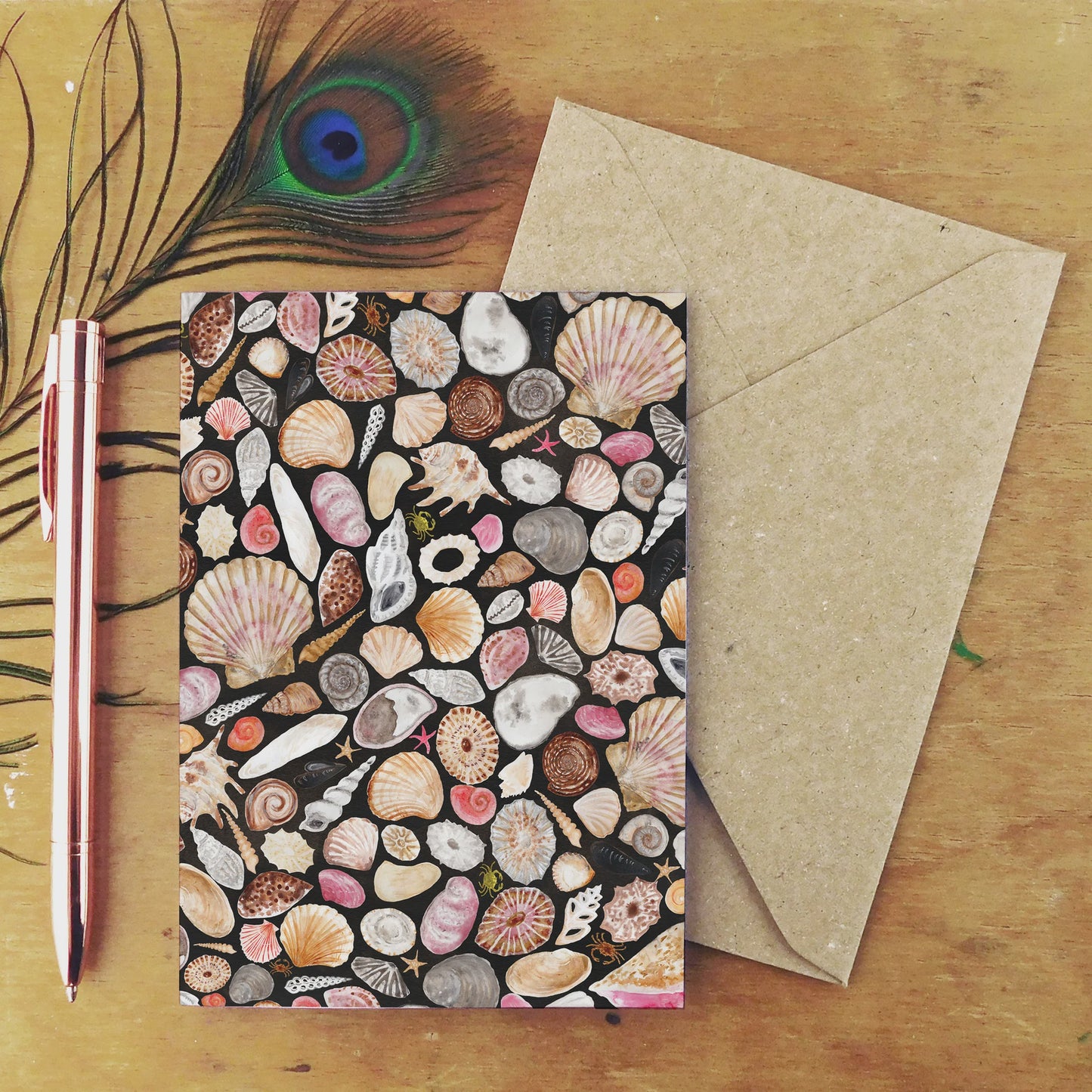 GC Mollusca sea shell Greetings Card