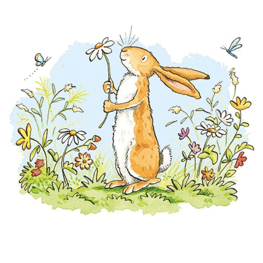 GC COLOURS EVERYWHERE