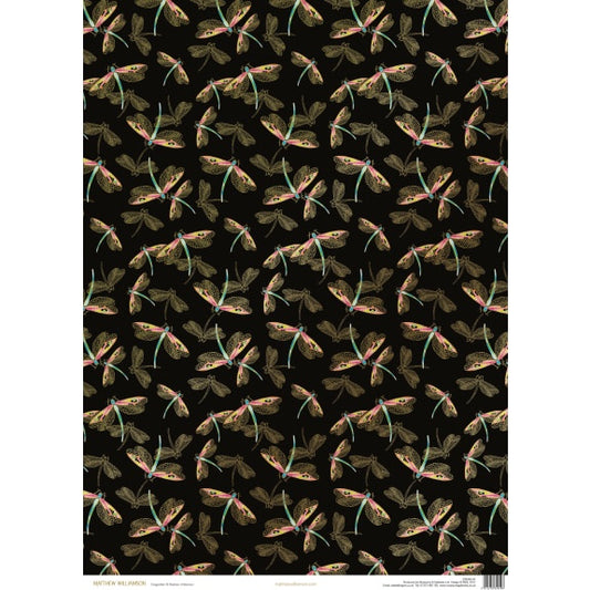 GW Dragonflies Black GE