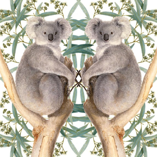 GC KOALA