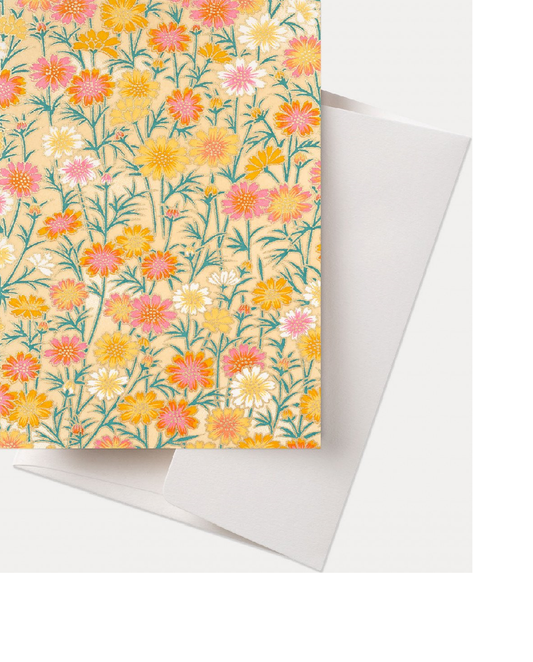 GC Greeting Cards Orange daisies/peach (12)