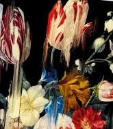 NB IA London Mini IA