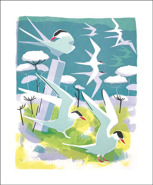 GC Hebridean Summer (12)