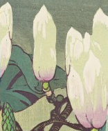 NB Mabel Royds Mini Magnolia