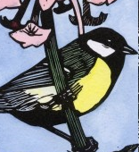 NB Chris Pendleton Great Tit