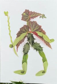 GC Raymond Hollypants Leaf People